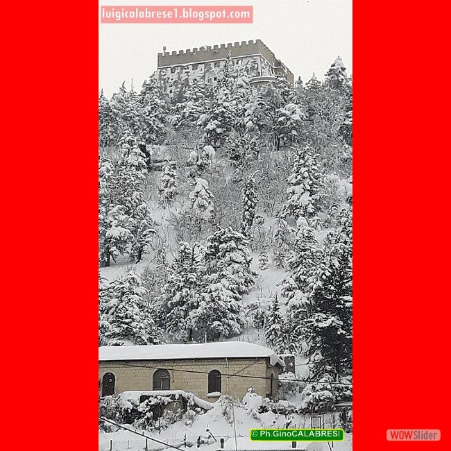 Campobasso, gennaio 2017 (178)