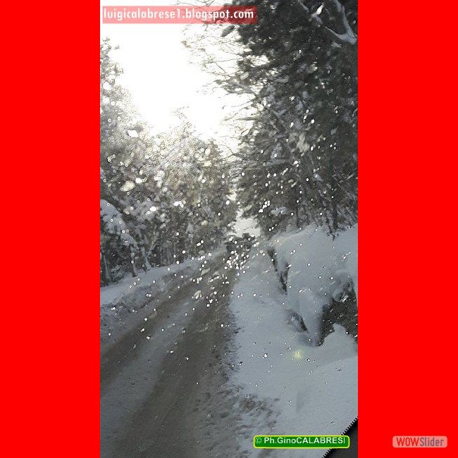 Campobasso, gennaio 2017 (181)