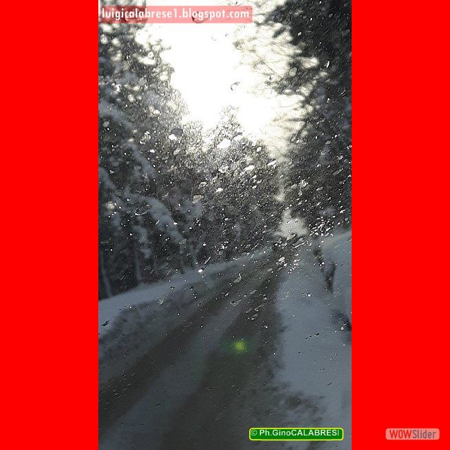 Campobasso, gennaio 2017 (182)