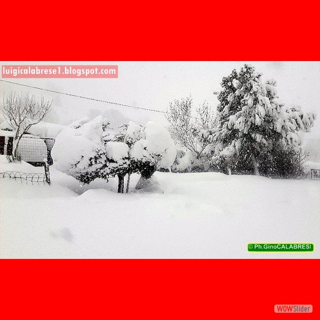 Campobasso, gennaio 2017 (188)