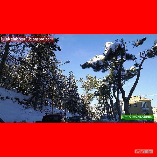 Campobasso, gennaio 2017 (191)