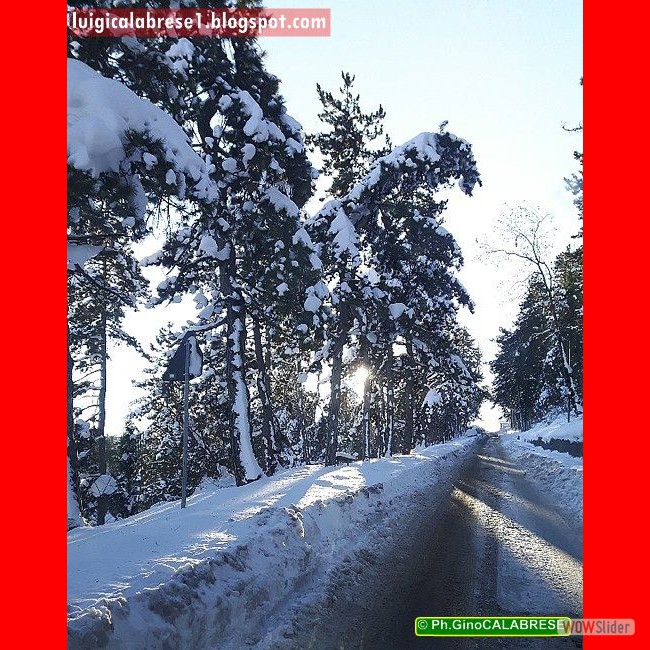 Campobasso, gennaio 2017 (192)