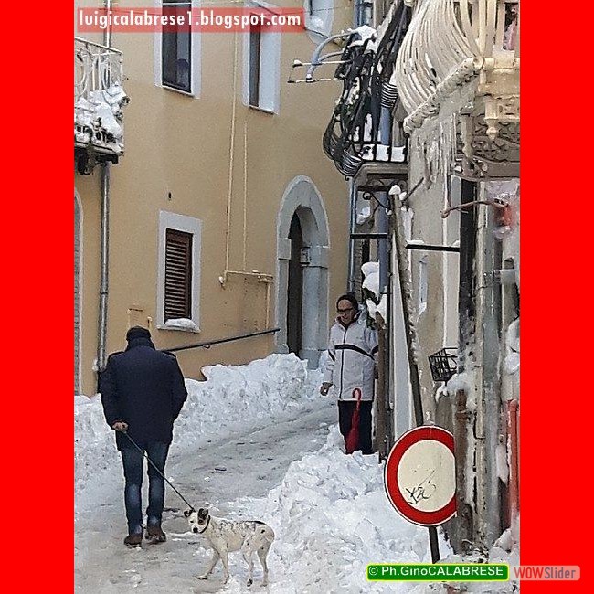 Campobasso, gennaio 2017 (197)