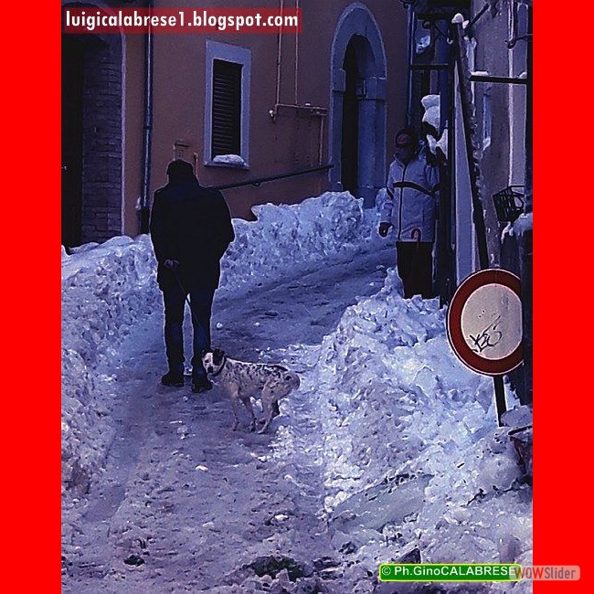 Campobasso, gennaio 2017 (198)