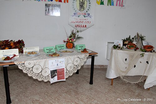 IMG_5895.JPG