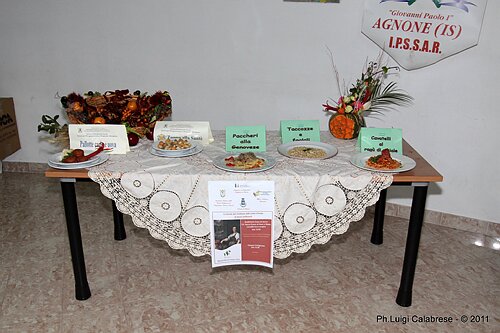 IMG_5892.JPG