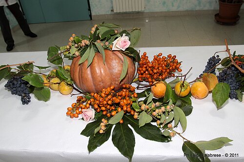 IMG_5881.JPG