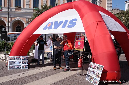 IMG_7080.JPG