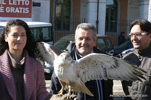 IMG_5979.JPG