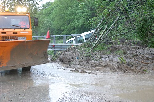 Bifernina_4655 (1).JPG