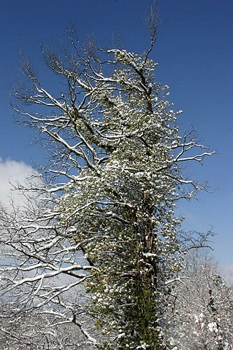 IMG_9735.JPG