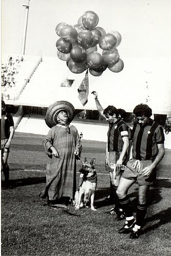 castagnar.jpg