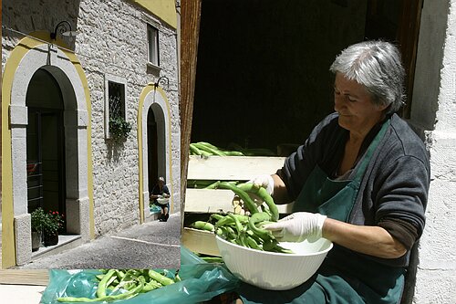 Zia concetta (1).jpg