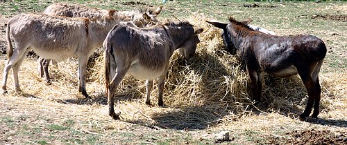 IMG_7614.JPG