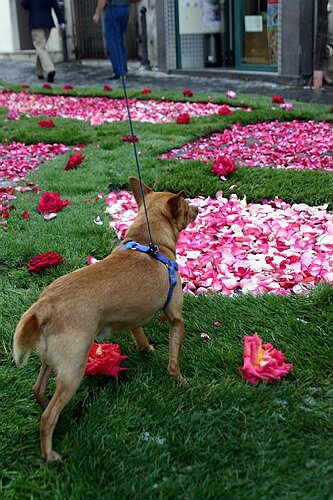 infio_ 050 (9).jpg