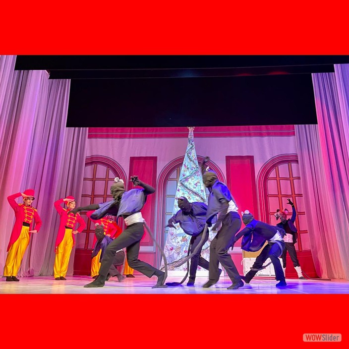 13 9af9d9ed-c29a-4d6c-b421-f1eefdf08cf8