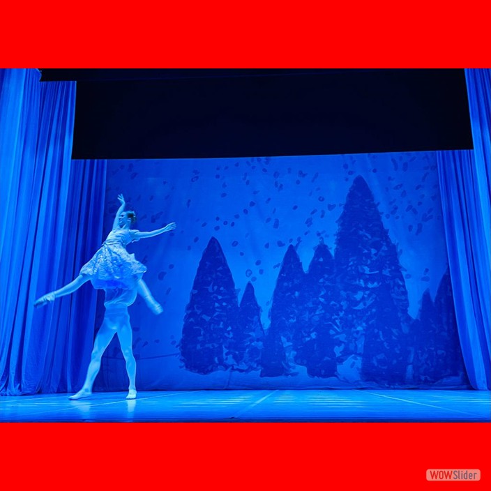 25 a77113c6-d18d-4930-ba61-19c88301bfb1