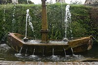 DSC_9847