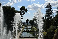 DSC_9814