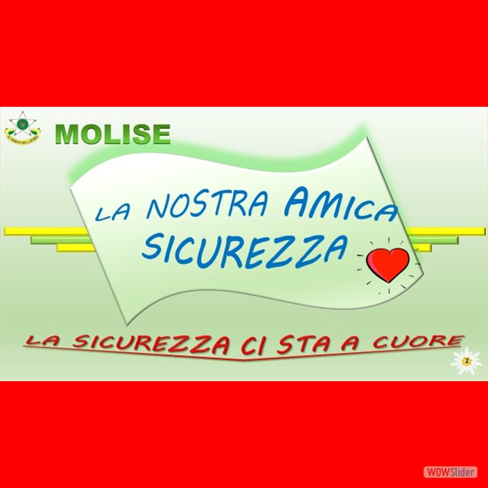 DSC_0930 la sicurezza-jpg