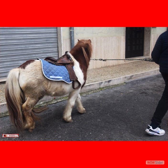 3 FUOCO S.ANTONIO 2026 (3)