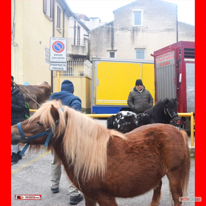 4 FUOCO S.ANTONIO 2026 (4)