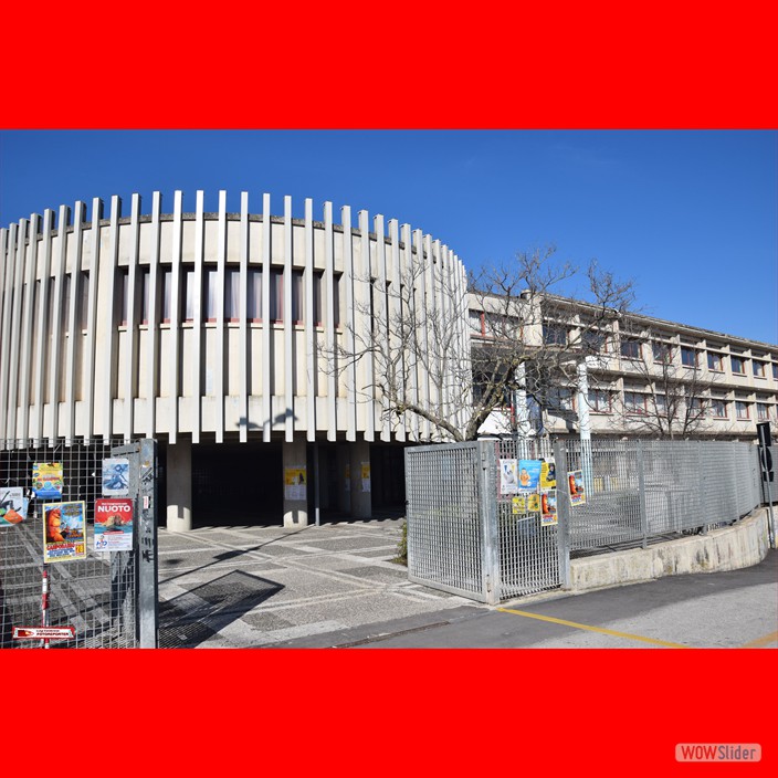 MdL Formazione - Igino Petrone